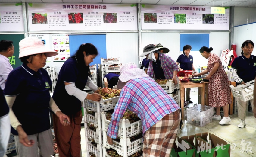 娱乐场送体验金无需存款